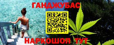 прущие грибы Будённовск