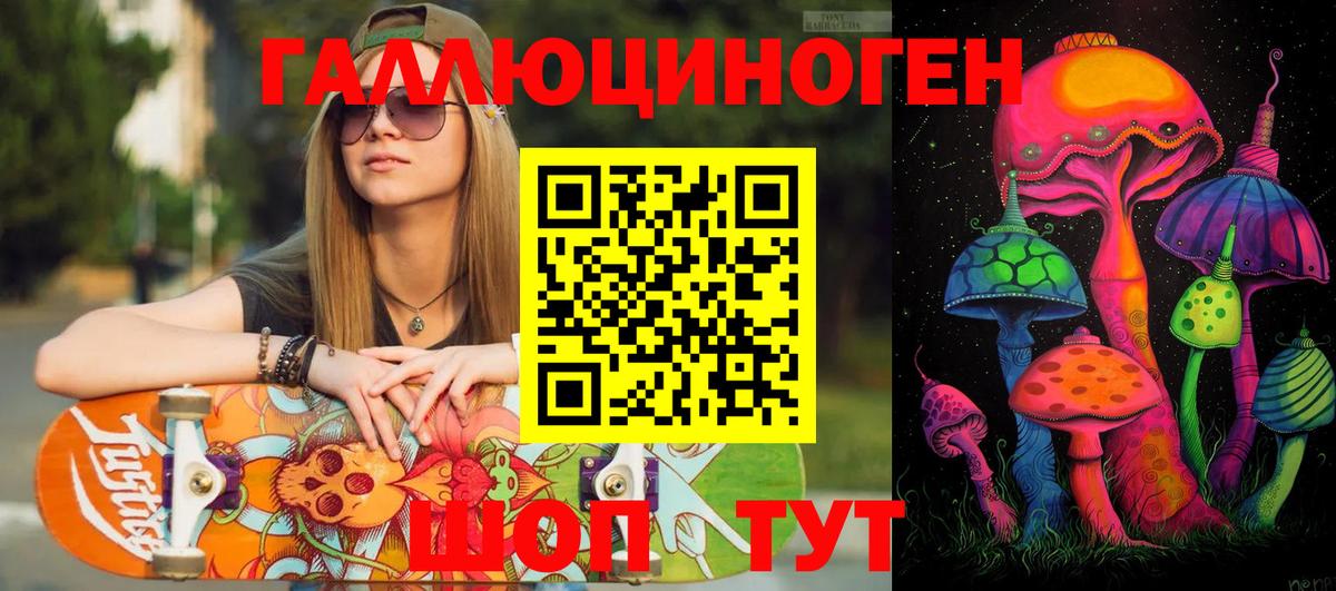 Галлюциногенные грибы Psilocybine cubensis Удомля