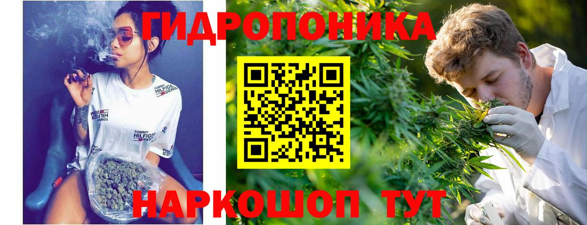 Удомля  МАРИХУАНА Amnesia  Конопля план  Вход с VPN 